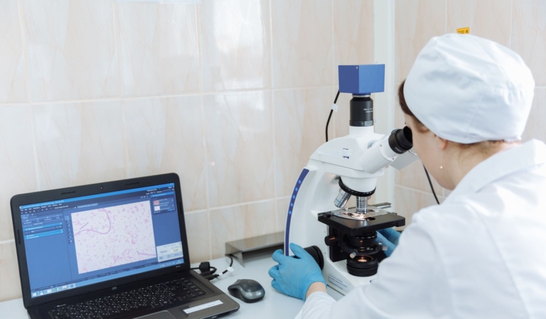 Gephyrin Proteini, Beyin Hücrelerinin Miyelin Yapısını Nasıl Destekliyor?